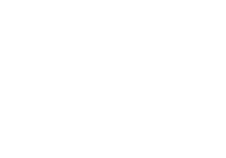 Gemtailor Logo